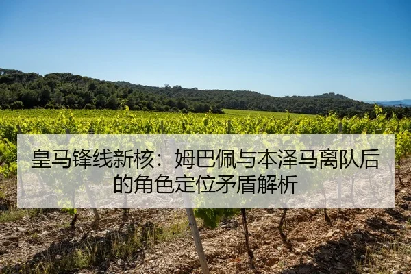 huang-ma-feng-xian-xin-he-mu-ba-pei-yu-ben-ze-ma-li-dui-hou-de-jue-se-ding-wei-mao-dun-jie-xi-2-446.jpg