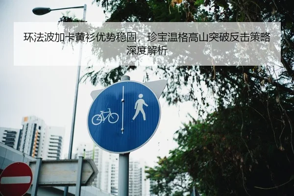 环法波加卡黄衫优势稳固，珍宝温格高山突破反击策略深度解析